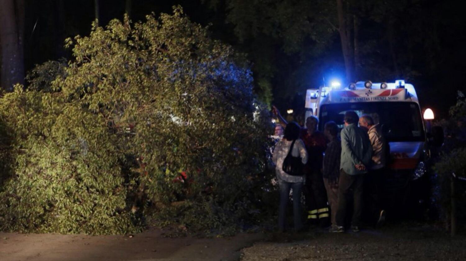 Firenze, muore schiacciata da un ramo al parco. Aperta un'inchiesta
