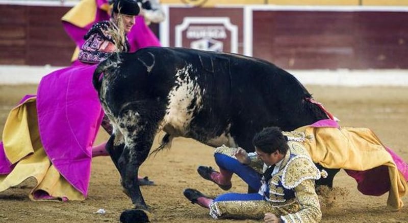 Toro incorna il matador 6