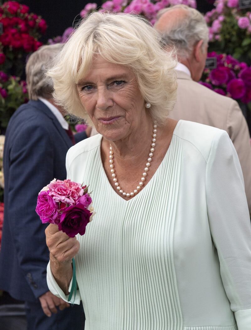 Il Principe Carlo e Camilla Parker Bowles: foto 1