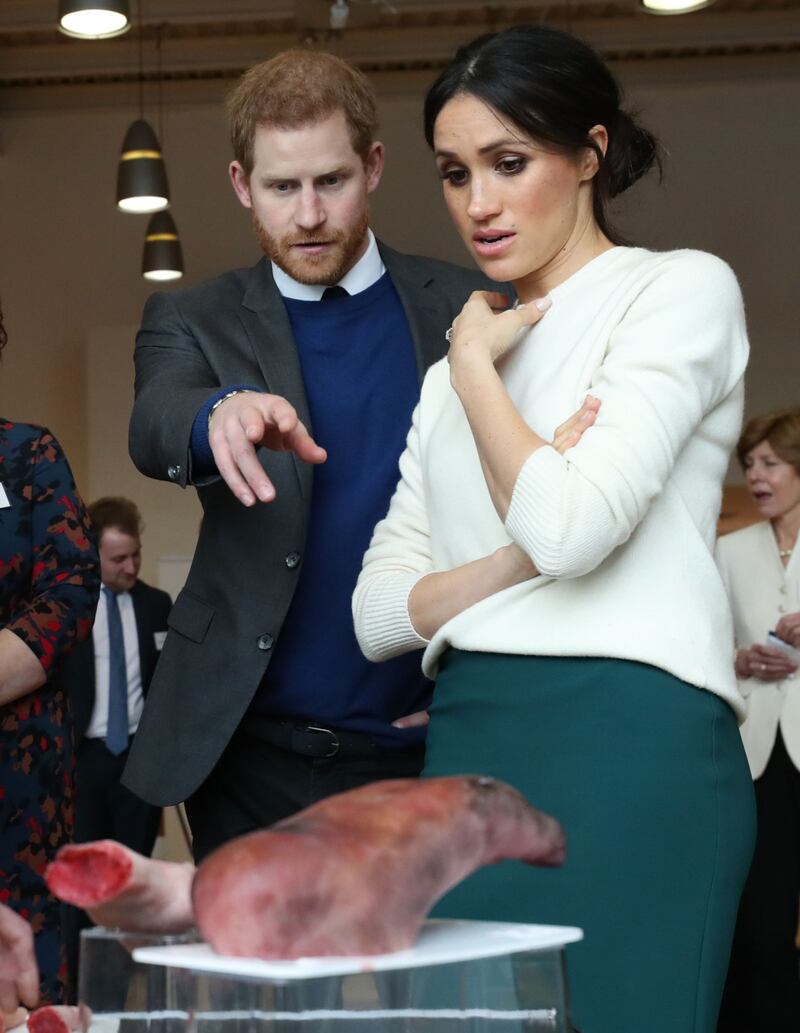 Meghan Markle e il Principe Harry, fidanzati felici 16