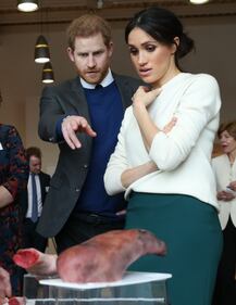 Meghan Markle e il Principe Harry, fidanzati felici 16