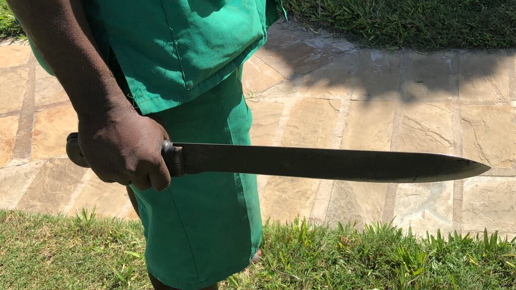 Parma, fermati 4 nigeriani: spaccio, rapine e aggressione con machete