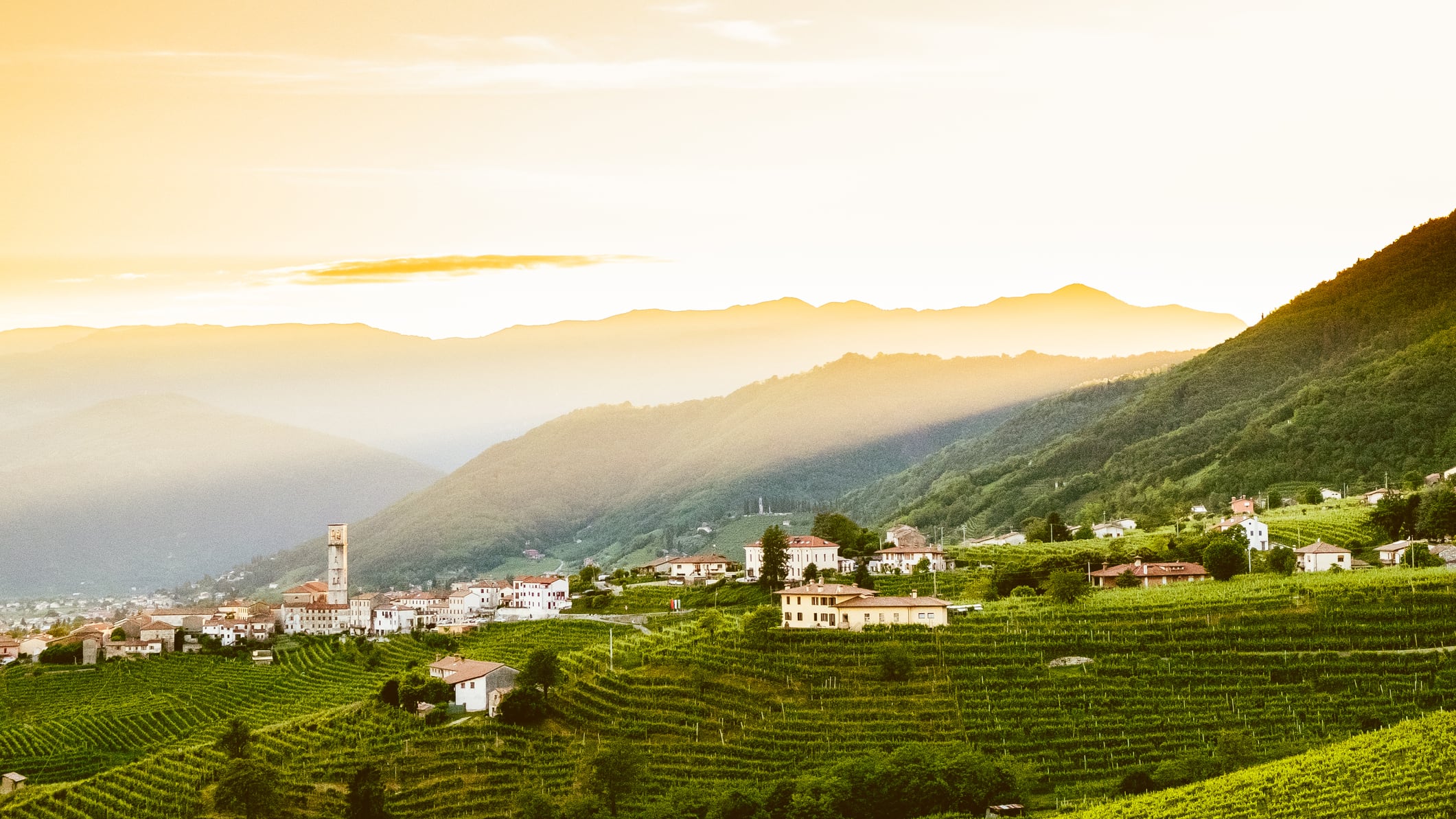 "Non solo vino, vince la bellezza"