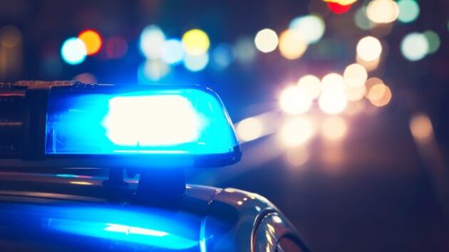 Torino, clandestino sperona gli agenti. Ma è subito tornato libero