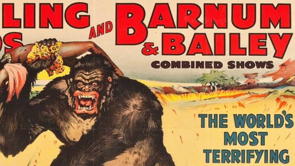 Senza le fiere il Barnum ha chiuso