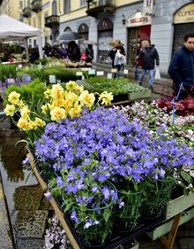 A Milano il Mercato Fiori e Sapori nel Naviglio Grande 2