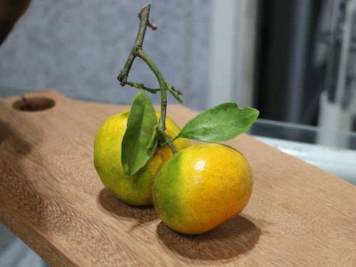 Le capacità benefiche del succo di bergamotto: ecco i segreti del "frutto della salute"