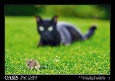 Le più belle foto di animali e natura 7