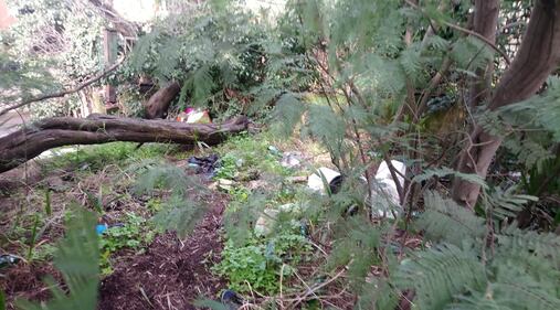 Degrado a Mostacciano tra migranti, rom e prostitute 7