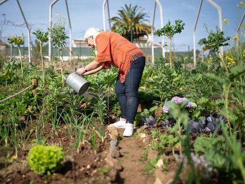 Green Therapy: quando orto e giardino ringiovaniscono gli over