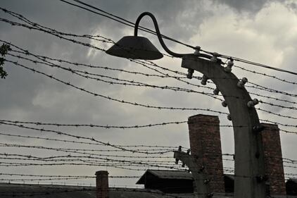 Il mondo ricorda la Shoah 8