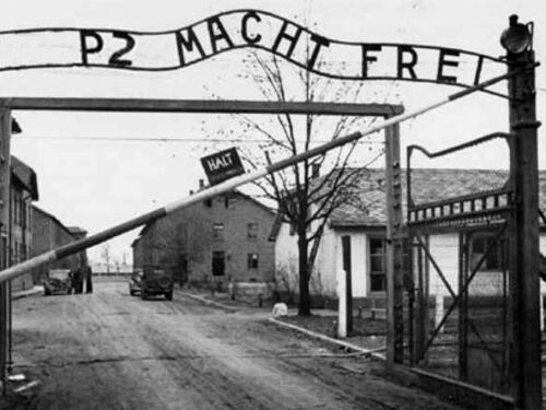M5S, Grillo usa la Shoah per attaccare Napolitano