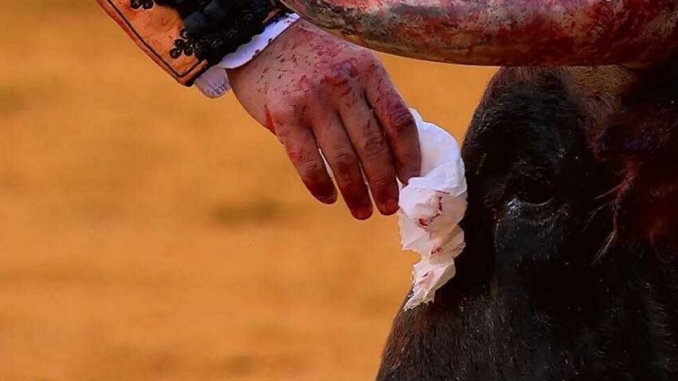 Che orrore la corrida delle lacrime