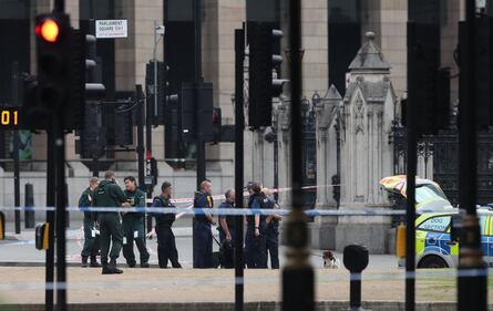 Londra, auto contro il parlamento 2
