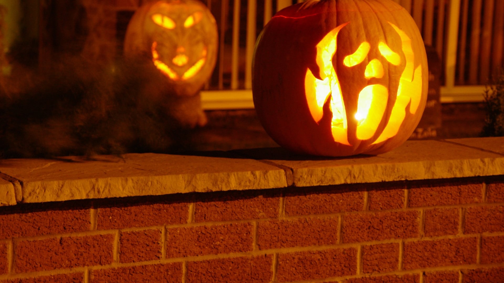 Vicino fa la chiamata: "C'è festa". Halloween finisce davvero male