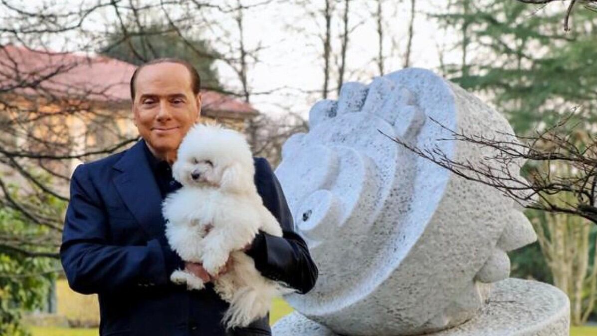 Il piano di Berlusconi: "Agevolazioni fiscali per chi ha animali"