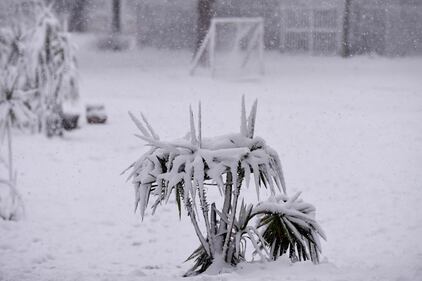 Maltempo, Roma è sotto la neve 4