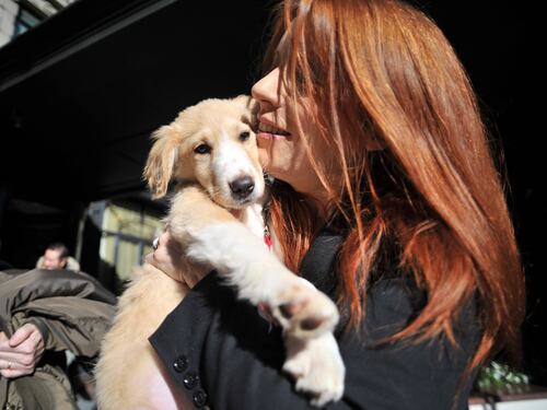 "Io voto con il cuore": ecco l'agenda politica delle associazioni animaliste
