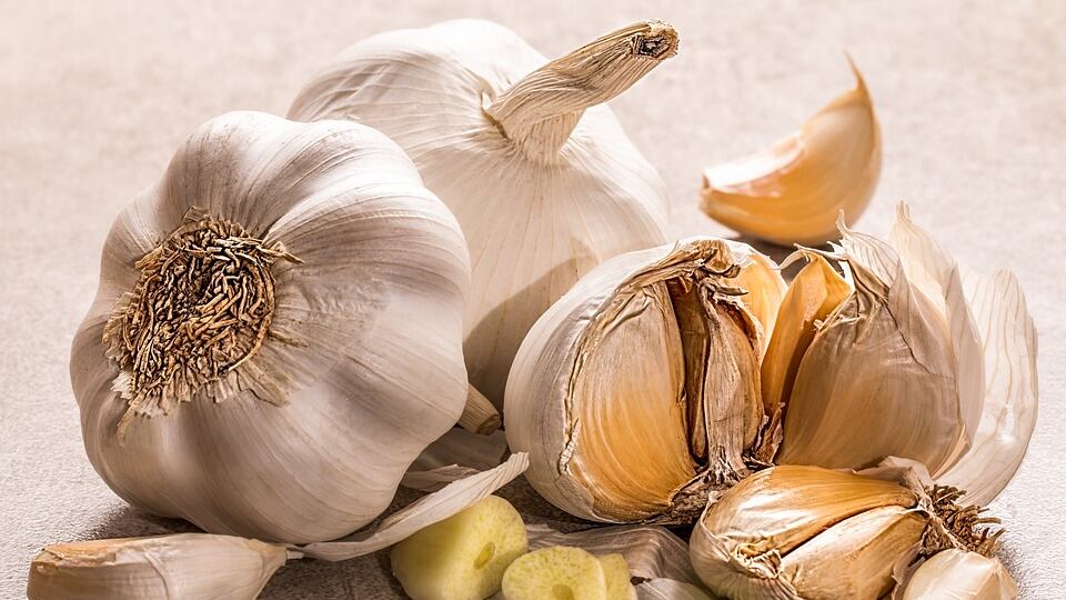 Soffritto con aglio e cipolla: alleato contro il tumore al seno
