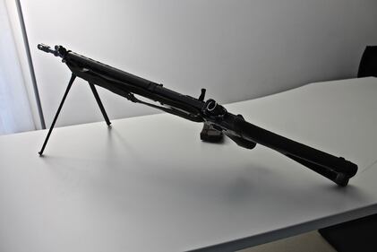 Svizzera, patria di un popolo armato  5