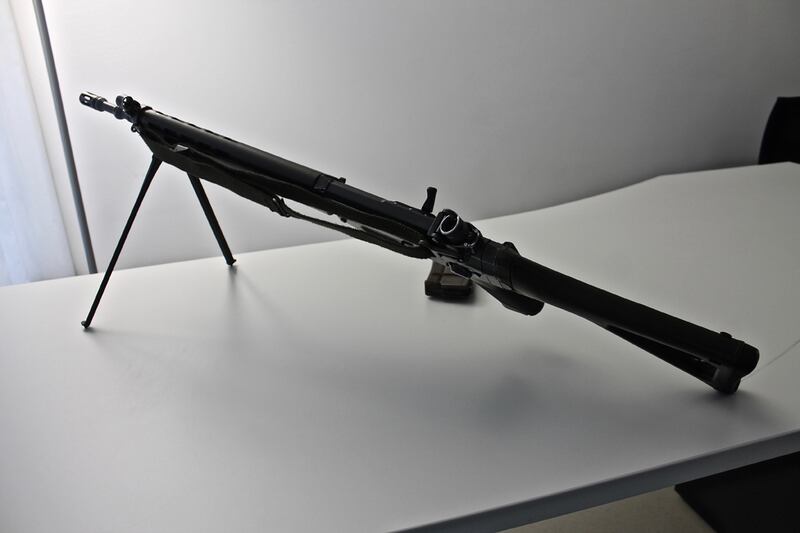 Svizzera, patria di un popolo armato  5