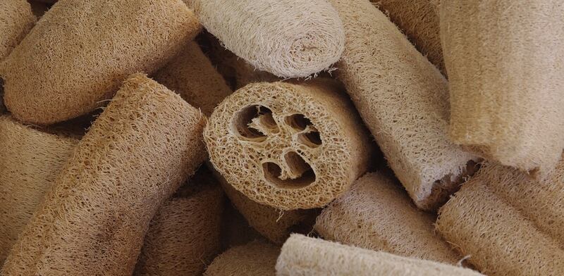 Luffa