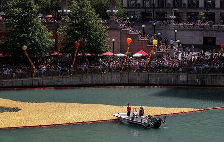 Chicago, un mare di anatre di gomma invadono il fiume 5