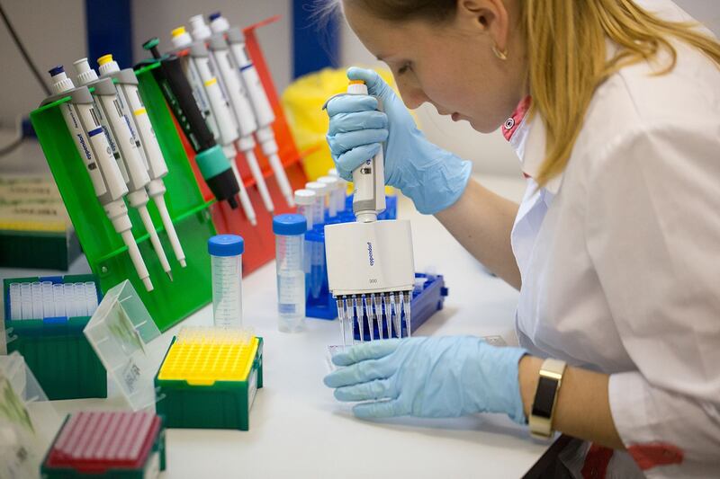 laboratorio
