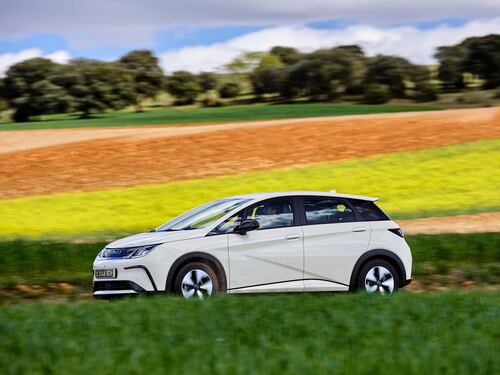 BYD Dolphin, caratteristiche e prezzi dell'elettrica cinese