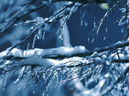 Solstizio d'inverno, ecco quando sarà la giornata più corta di tutto l'anno