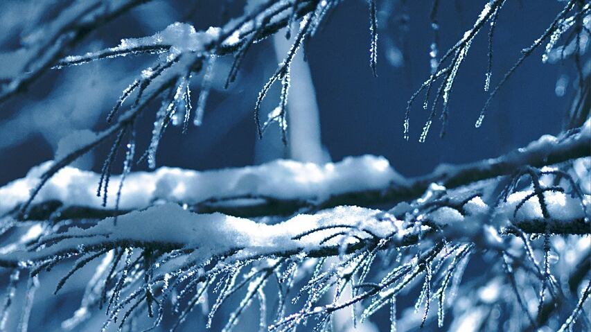 Solstizio d'inverno, ecco quando sarà la giornata più corta di tutto l'anno