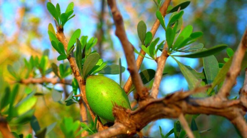 Bellezza: dall'antichità i rimedi ancora utilizzati nel mondo