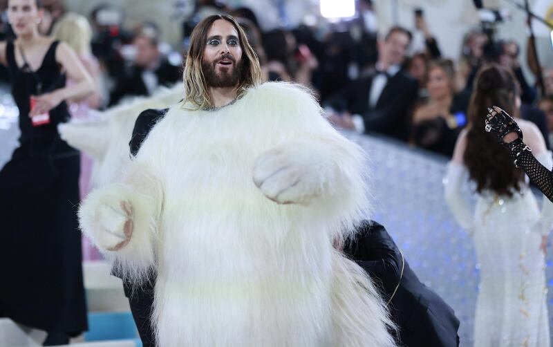 L'omaggio felino a Lagerfeld di Jared Ledo (e gli altri) 2