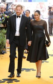 Meghan Markle e il Principe Harry: foto 7