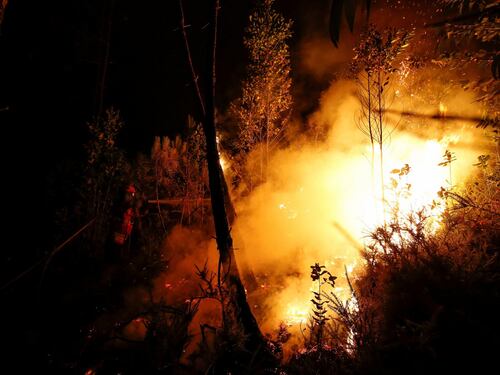 Portogallo, incendio nei boschi: 62 morti