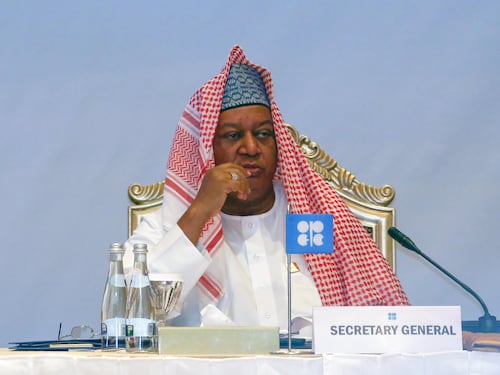 L'Opec+ dà l'ok a più barili, ma non bastano