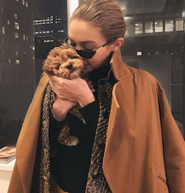Gigi Hadid, immagini sexy 11