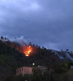 Liguria, lo spaventoso rogo di Cogoleto 3