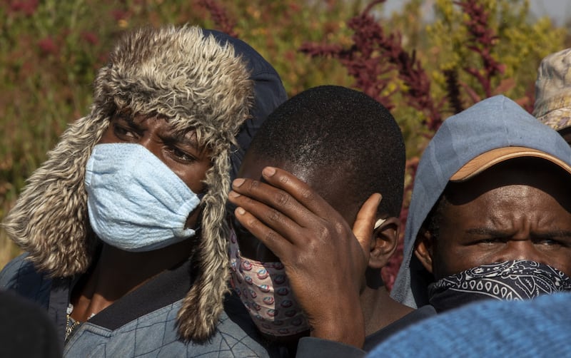 migranti