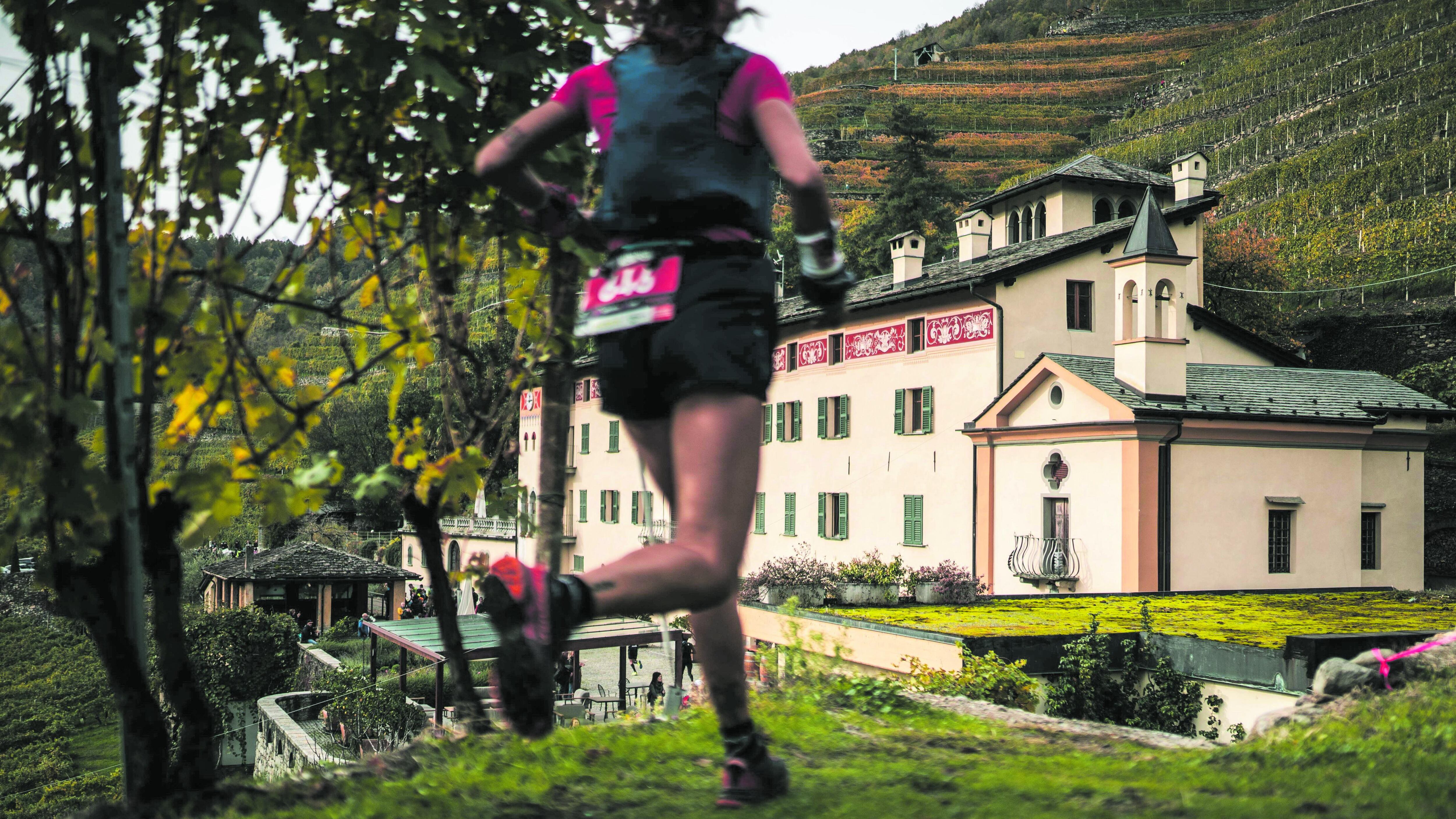 Al via la spettacolare Wine Trail tra vigneti e cantine