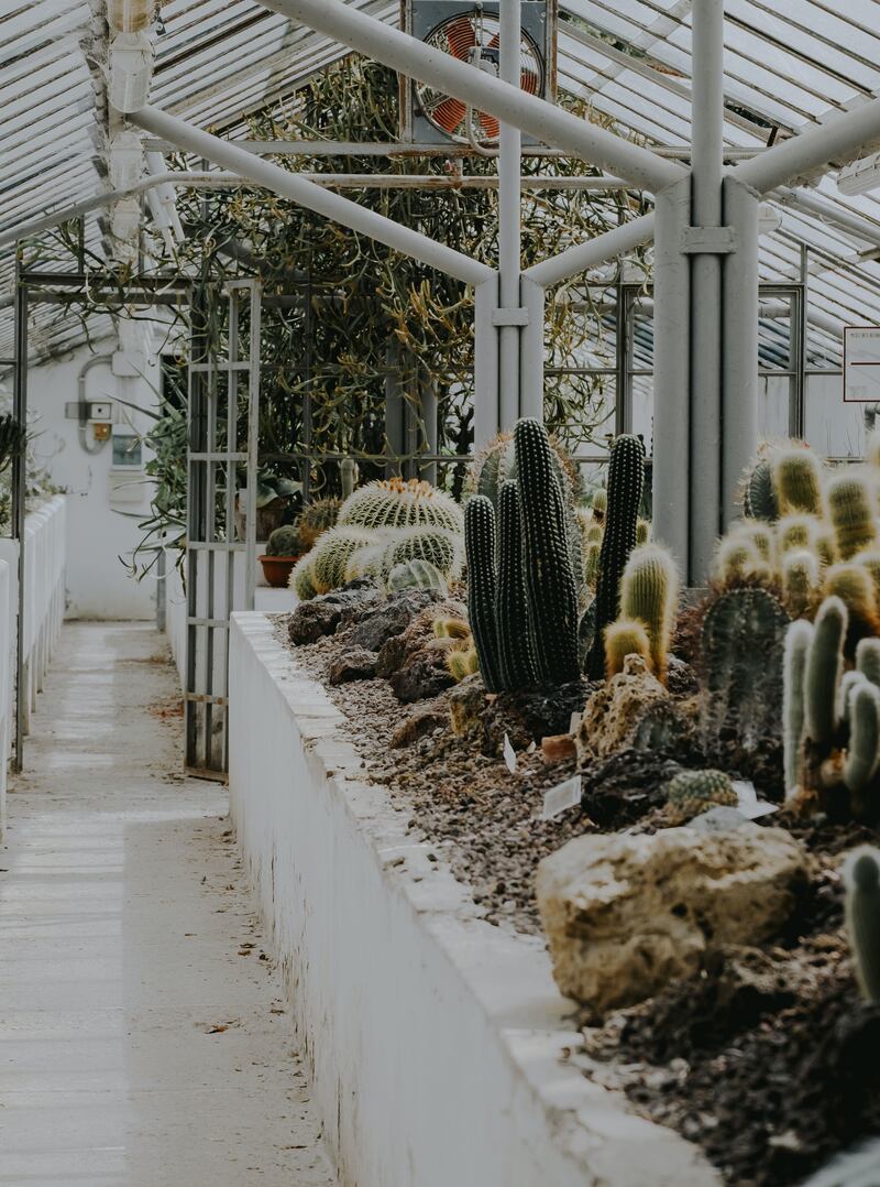 L'orto botanico de La Sapienza di Roma