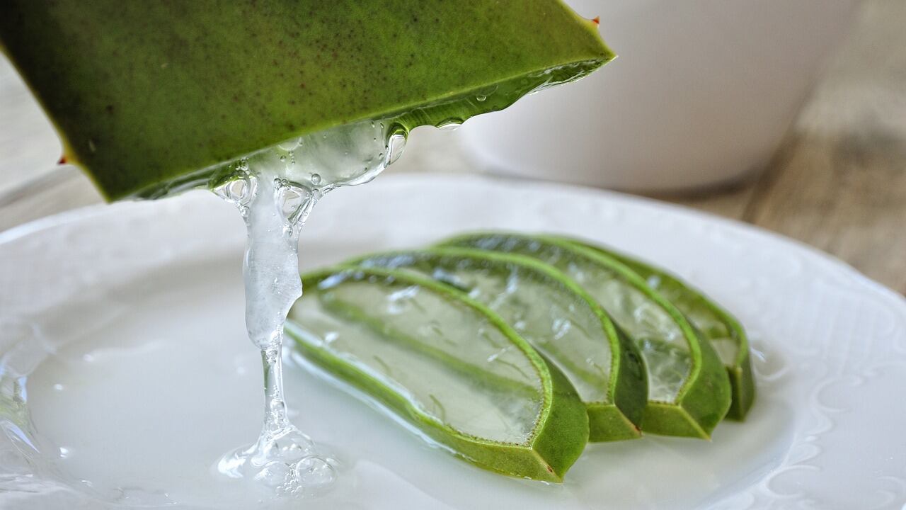 Bere succo di aloe vera, fa davvero dimagrire?