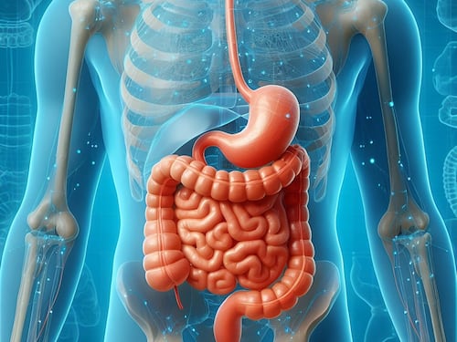 La salute dell'intestino