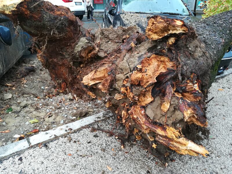 Maltempo al Nord, danni pesantissimi a Lodi, Brescia e Sud Milano 1