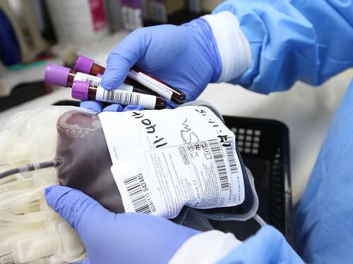 Lotta all'anemia falciforme e alla beta-talassemia, ecco il "Trattamento Crispr" premiato col Nobel