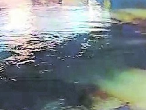 Naviglio inquinato, caccia ai vandali: s'indaga anche sul passato