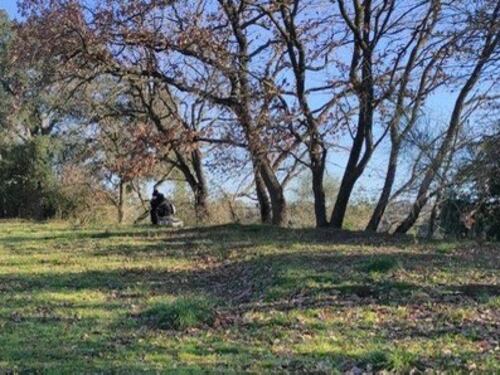 Spiava gli allenamenti della Roma, sorpreso dalla polizia collaboratore di Juric