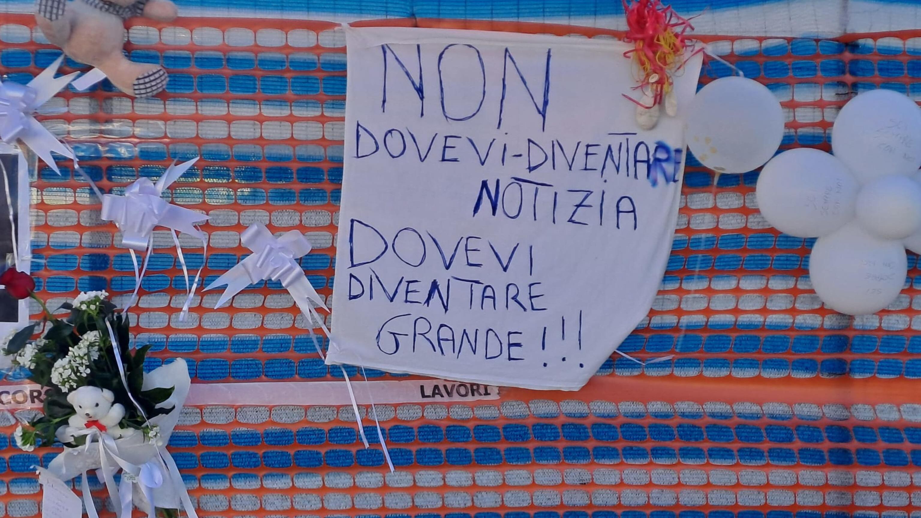 Il box, il ghiaccio, la comunicazione: la catena di errori che ha portato alla morte di Domenico
