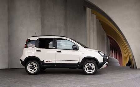 Fiat Panda 4x40° Limited Edition, guarda tutte le immagini 10