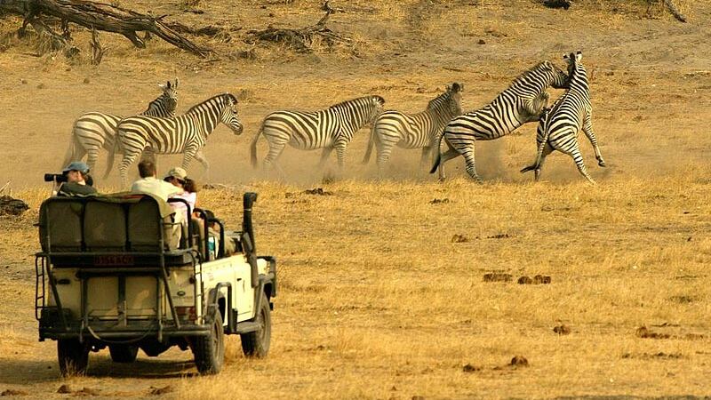 Turista italiano muore schiacciato da elefante